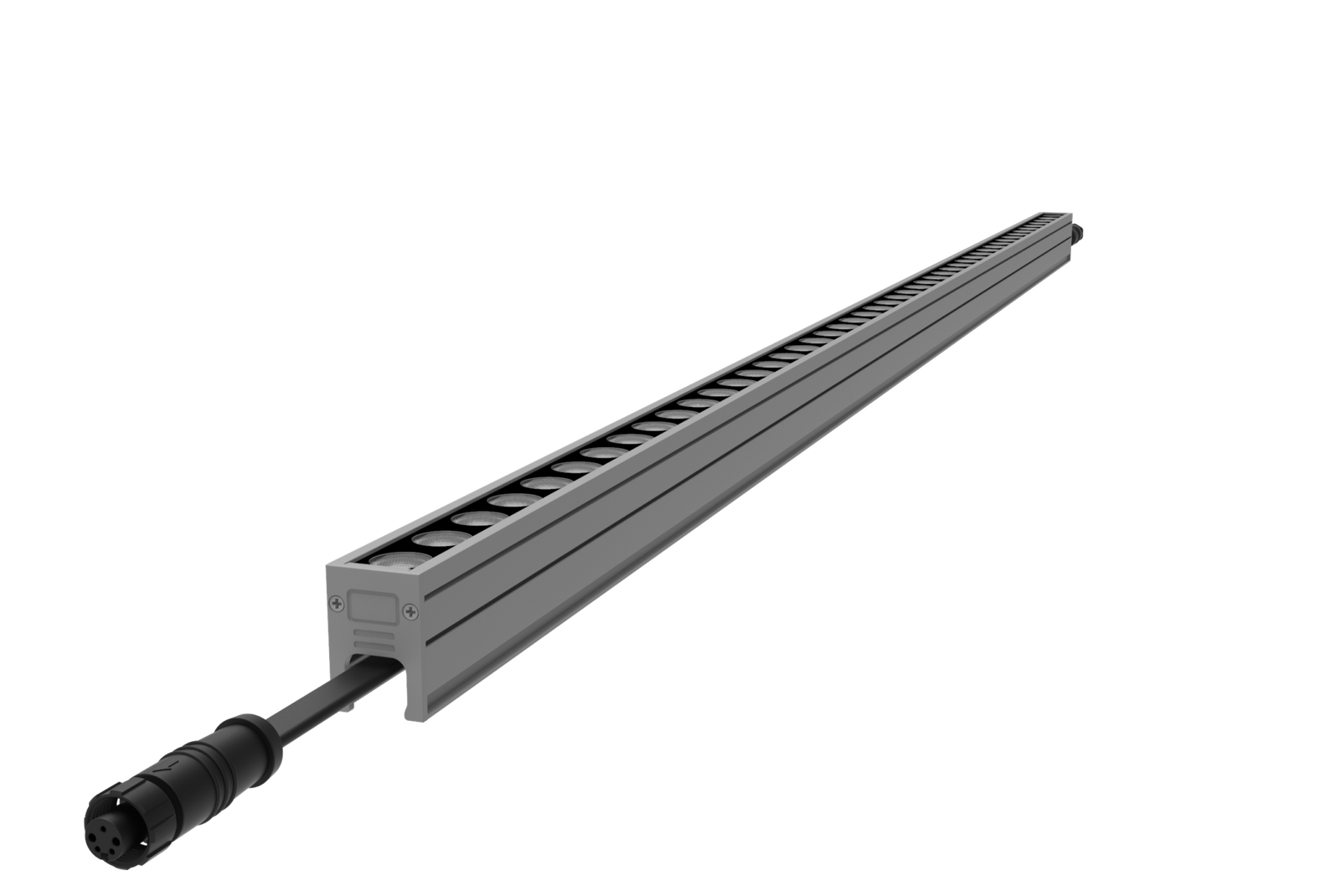 Linea – Lencse
